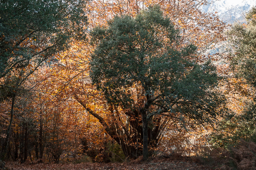 C 2013-12-08-23 